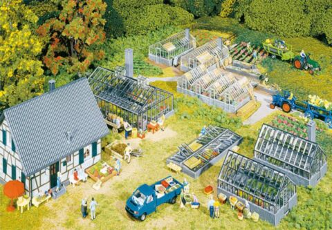 Casa cu sere si accesorii