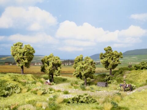 Pomi fructiferi- cub promotional