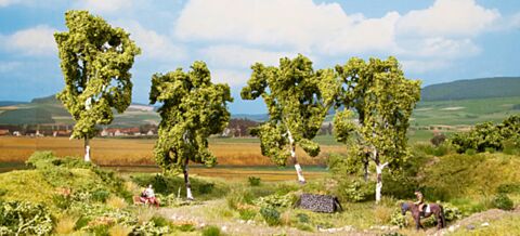 Mesteceni-cub promotional