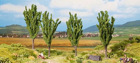 Plopi-cub promotional