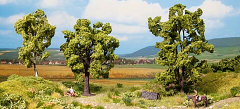 Set copaci-cub promotional