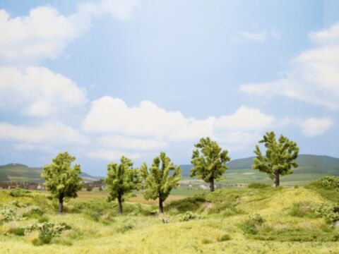 Meri-cub promotional