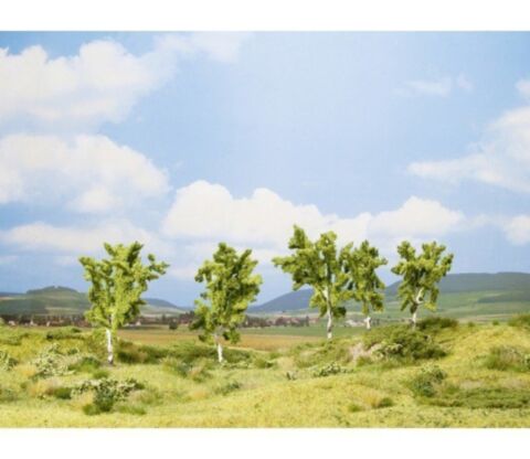 Mesteceni-cub promotional