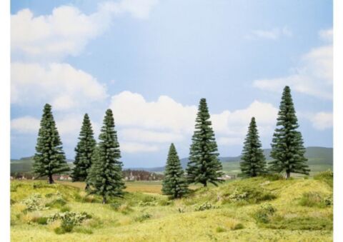 Brazi-cub promotional