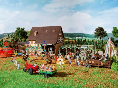 "Festival de toamna"