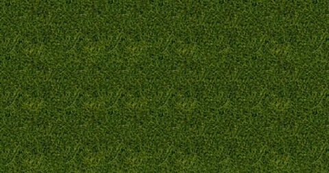 Fire iarba salbatica XL