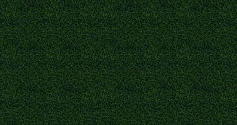 Fire iarba salbatica XL