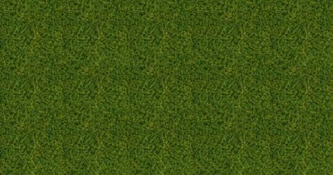 Fire iarba salbatica XL