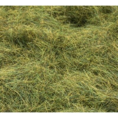 Fire iarba salbatica