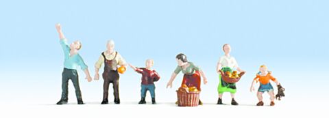 Oameni la cules de fructe