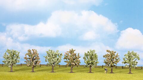 Copaci infloriti 8-10cm