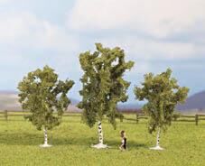 Set copaci mesteacan