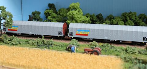 Set 2 vagoane CFR Marfa, tip Rils