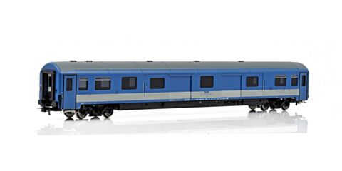 Vagon pentru bagaje, Dms, MAV