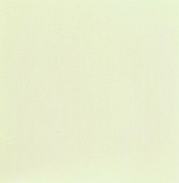 Vopsea spray - alb mat